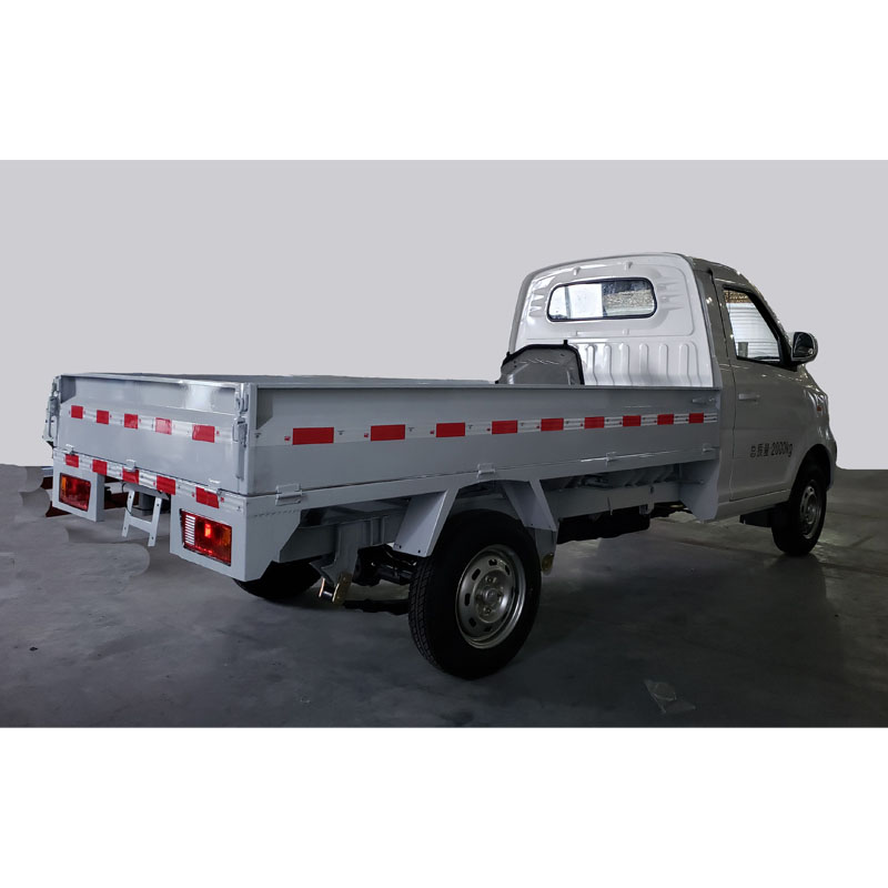 Rhd Electric Truck 5032EV